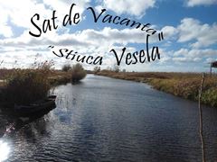 sat de vacanta Stiuca Vesela